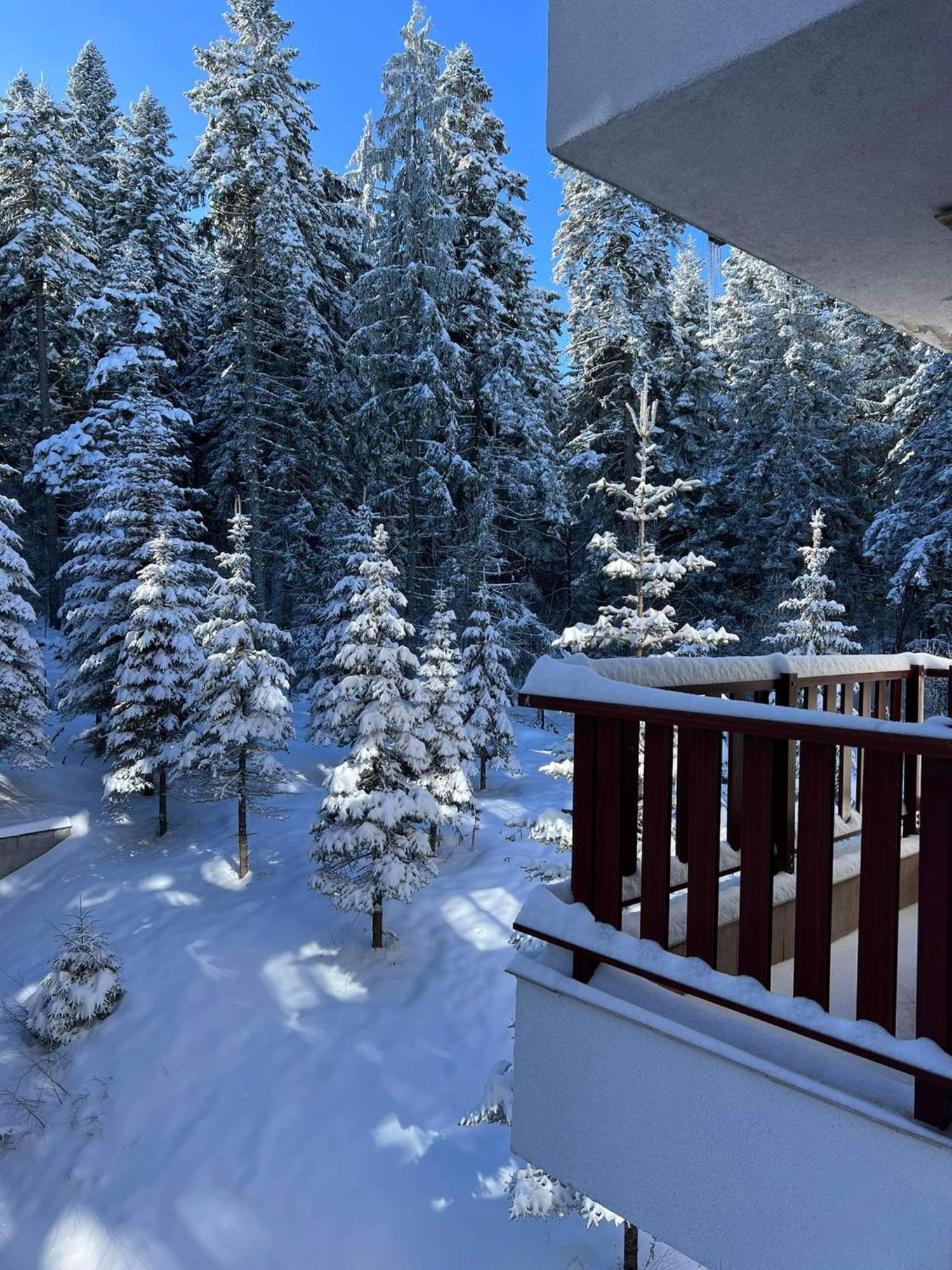Arboro Flora Residence Studio Borovets Exteriör bild