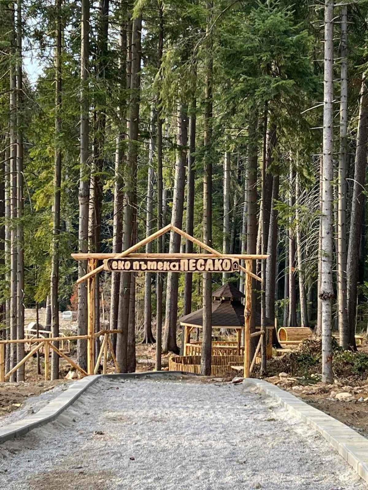 Arboro Flora Residence Studio Borovets Exteriör bild