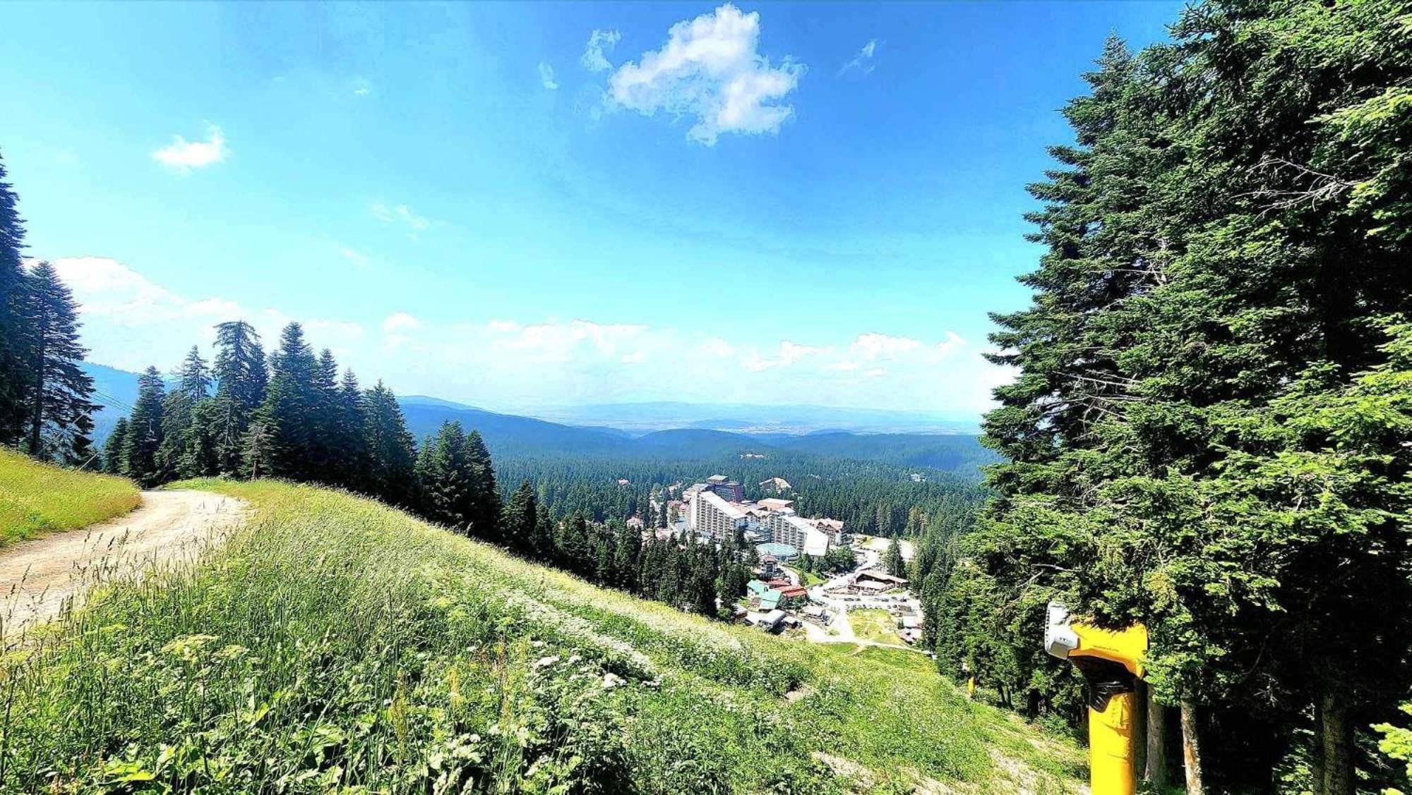 Arboro Flora Residence Studio Borovets Exteriör bild
